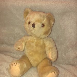 This light brown teddy bear